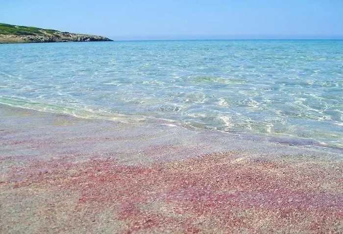 Casa Janas Гостевой дом 3*